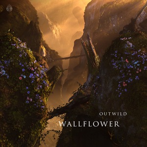 Wallflower