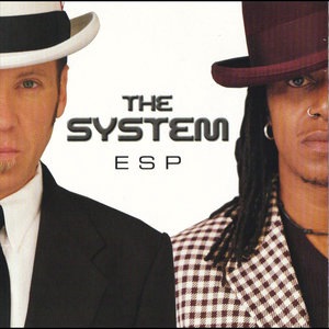 You Are in My System Remix