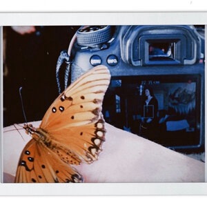 Butterfly Effect