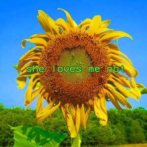 She Loves Me Not