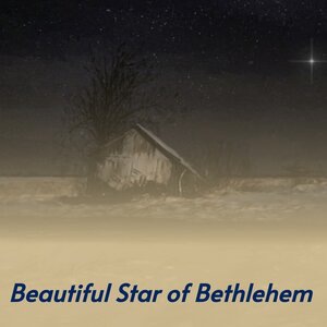 Beautiful Star of Bethlehem