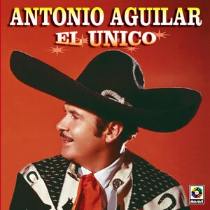 El Desengañado