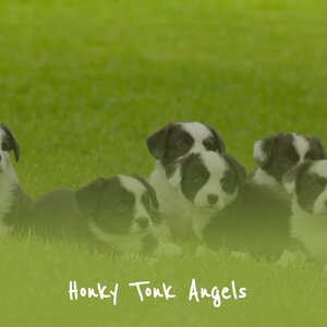 Honky Tonk Angels