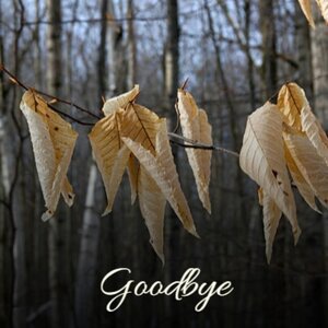 After You've Gone
