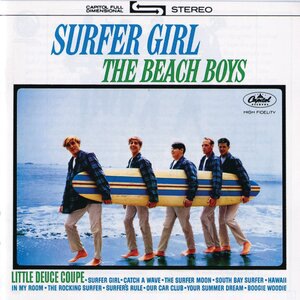 South Bay Surfer