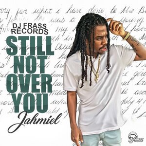 Still Not over You