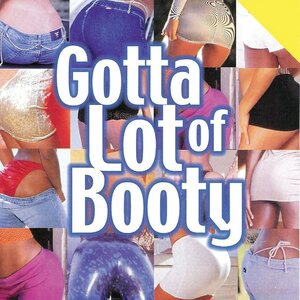 The 2 Live Crew Mega Mix