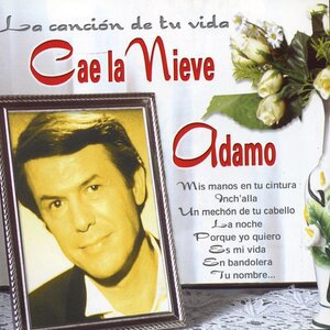 Como Rosas