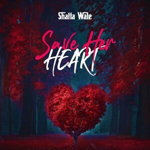 Save Her Heart