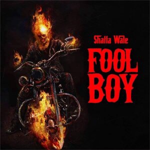 Fool Boy