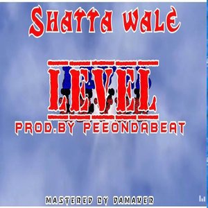 Level