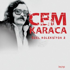 Bu Biçim