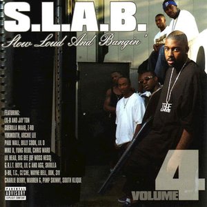 In a Slab (S.L.A.B.ed)