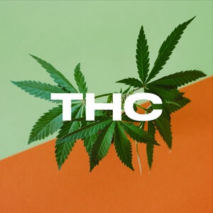 How High