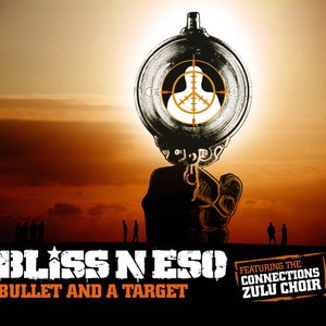 Bullet And A Target