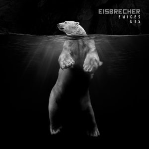 Eisbär