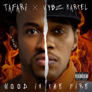 Wood in the Fire