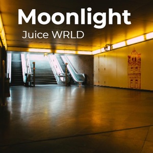 Moonlight