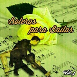 No Te Amé