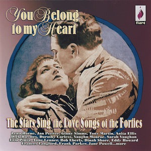 You Belong to My Heart