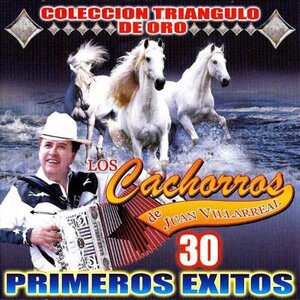 El Cartel De Los Cielos