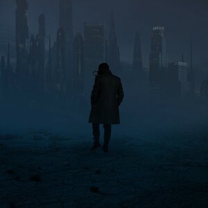 Vultures in the Night