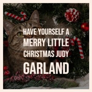 We Wish You a Merry Christmas