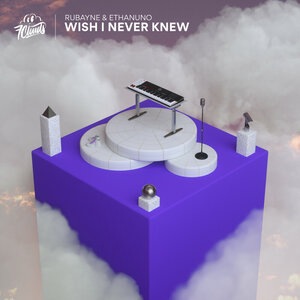 Wish I Never Knew